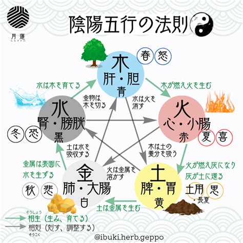 太陽五行|五行思想